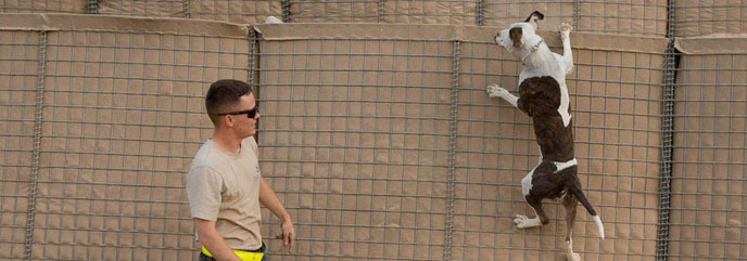 Military Bastion Blast Barrier Systems for Modern Protection